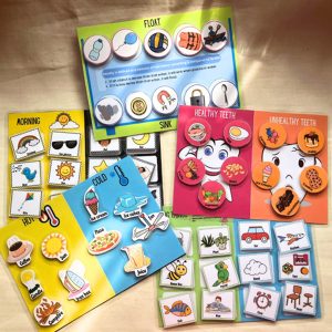 Busy Book Basic Science sorter