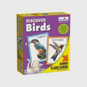 Discover Birds (Jumbo Flash Cards)