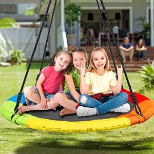 Colourful Nest Swing